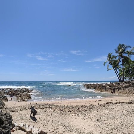 La Sana Surf Hotel - New Management Playa Santa Teresa  Exteriör bild