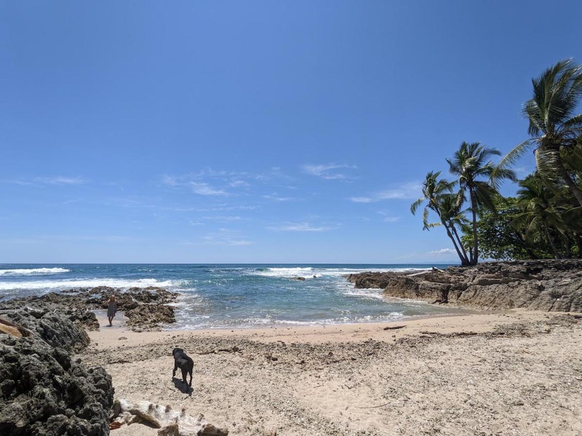 La Sana Surf Hotel - New Management Playa Santa Teresa  Exteriör bild